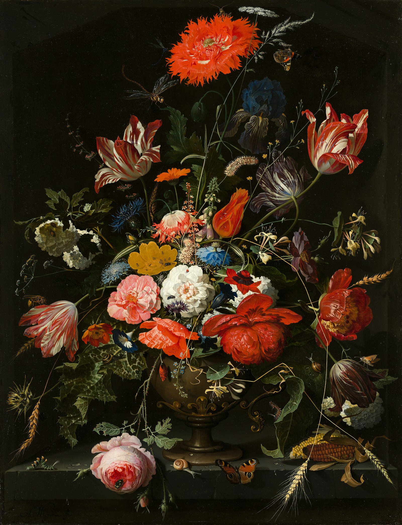 Canvas print displayed as wall art